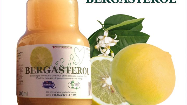 Bergamot Citrus Bergamia Risso, the Bergamot